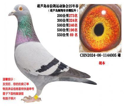 25�괺�����500����ɼ��루������