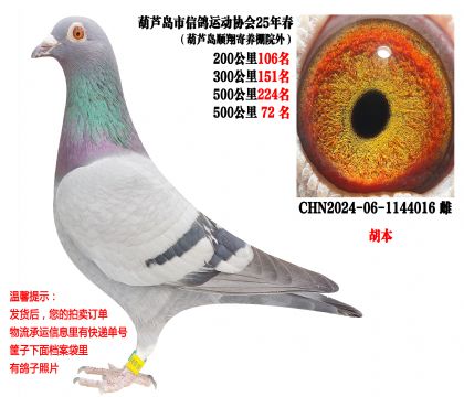 25�괺�����500����ɼ��루������