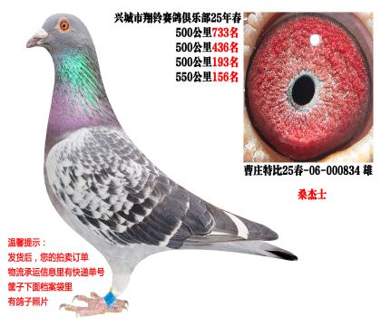 25�괺�Ĺ�500����ɼ��루ɣ��ʿ��