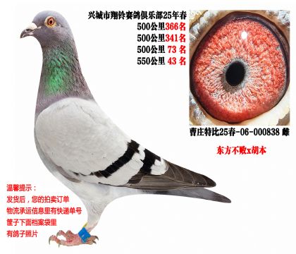 25�괺�Ĺ�500����ɼ��루��������x������