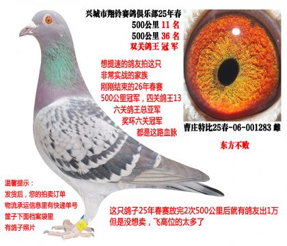���ǳ��ص�Ƹ룩25�괺˫�ظ����ھ������������������ܣ�