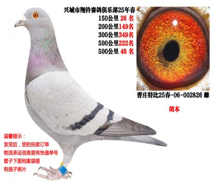 25�괺��سɼ��루�����������壩