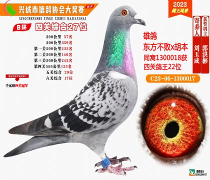 �����ص㣩��ظ���29�������ظ���17����ǧԪ���Ĺظ����ھ�