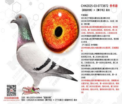 �������¡�ʨ�Ӻ�ֱŮ