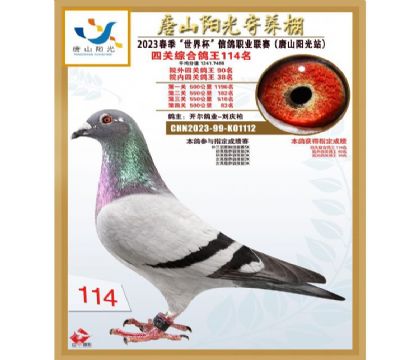 2����CHN2023-99-K01112