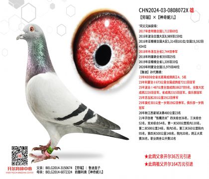 2����-0808072