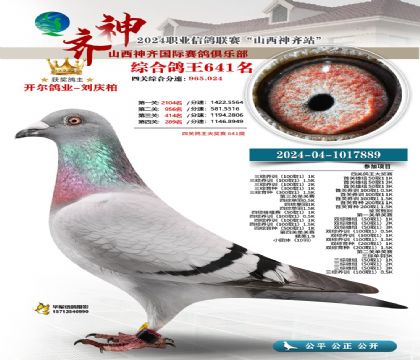 3ĸ��-1017889