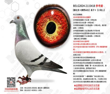 ������������������ֱ�ӡ�С����