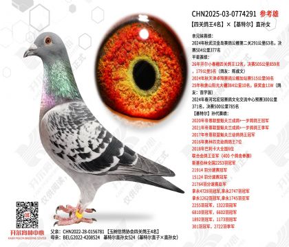 �Ĺظ���4�������ض�ֱ��Ů