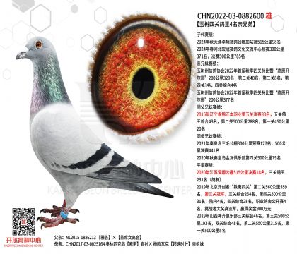 2����-0882600