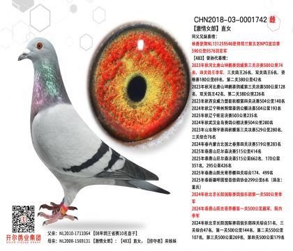 3ĸ��-0001742