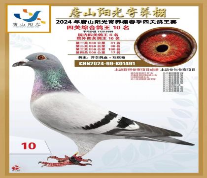3ĸ��-K01491