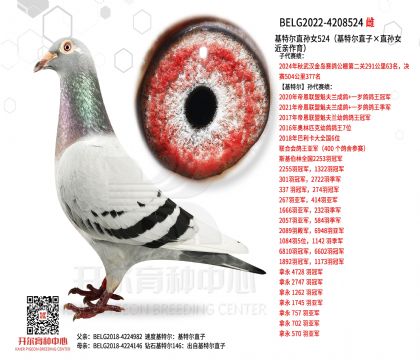 3ĸ��-4208524