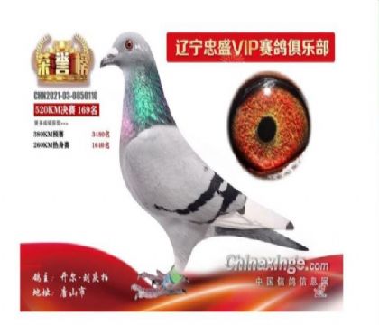 3ĸ��-0850110