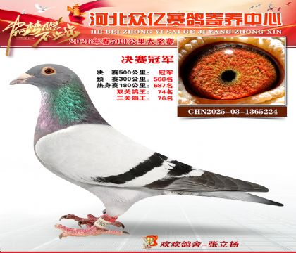 河北众亿寄养中心2026春季冠军