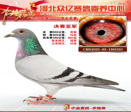 河北众亿寄养中心2026春季亚军