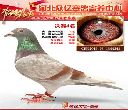 河北众亿寄养中心2026春季4名