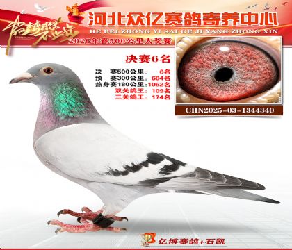 河北众亿寄养中心2026春季6名