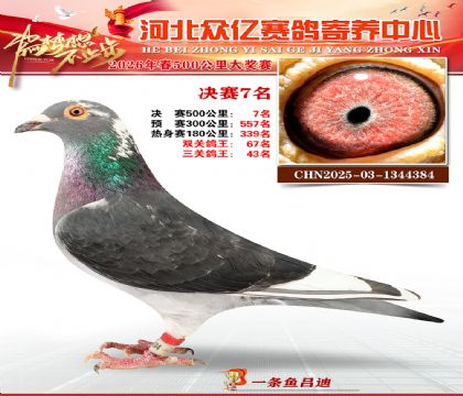 河北众亿寄养中心2026春季7名