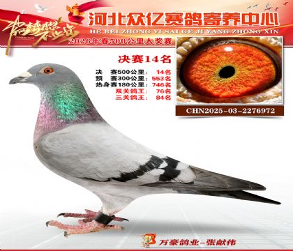 河北众亿寄养中心2026春季14名