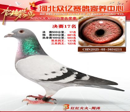 河北众亿寄养中心2026春季17名