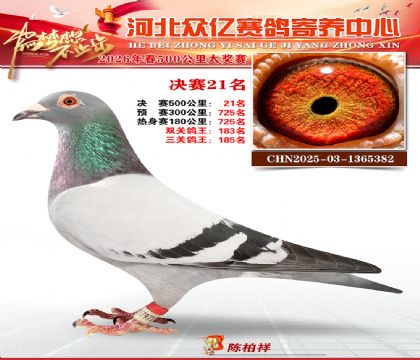河北众亿寄养中心2026春季21名
