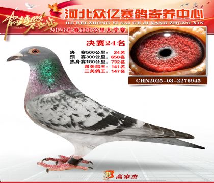 河北众亿寄养中心2026春季24名