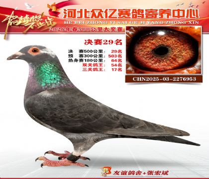 河北众亿寄养中心2026春季29名