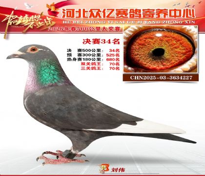 河北众亿寄养中心2026春季34名