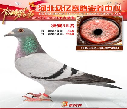 河北众亿寄养中心2026春季35名