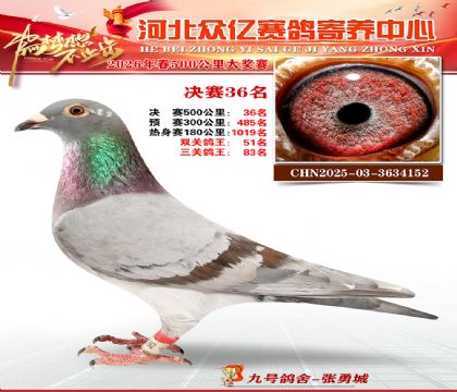 河北众亿寄养中心2026春季36名