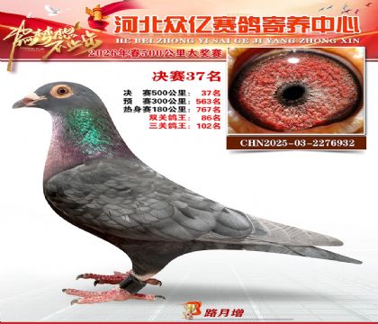 河北众亿寄养中心2026春季37名