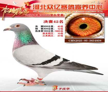 河北众亿寄养中心2026春季42名