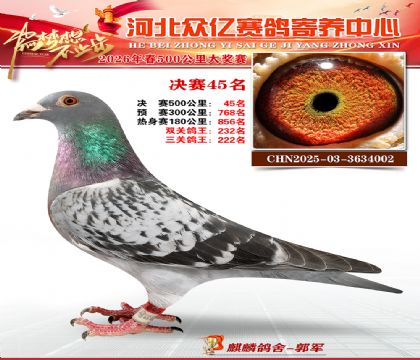 河北众亿寄养中心2026春季45名