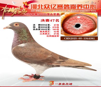 河北众亿寄养中心2026春季47名
