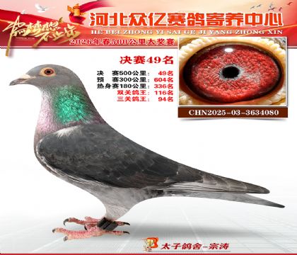 河北众亿寄养中心2026春季49名