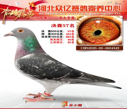 河北众亿寄养中心2026春季57名