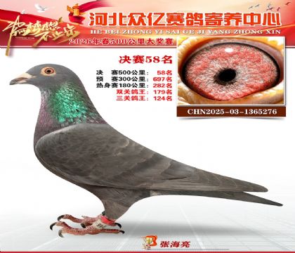 河北众亿寄养中心2026春季58名