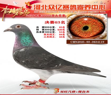 河北众亿寄养中心2026春季63名
