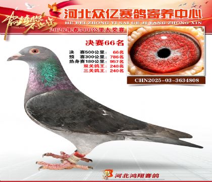 河北众亿寄养中心2026春季66名