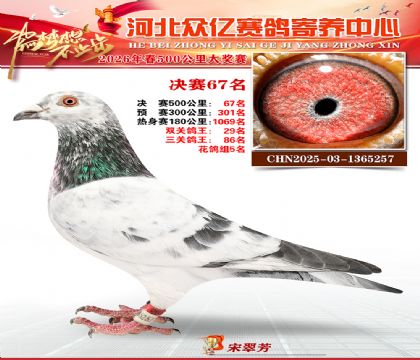 河北众亿寄养中心2026春季67名