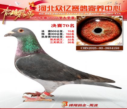 河北众亿寄养中心2026春季70名