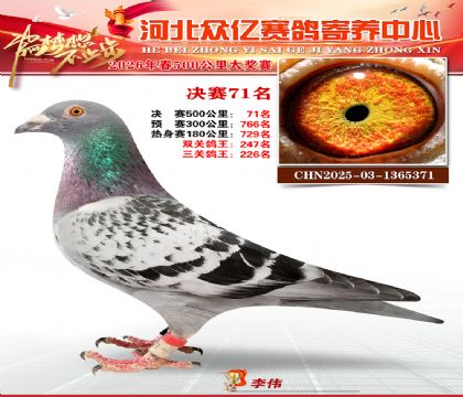 河北众亿寄养中心2026春季71名