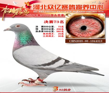 河北众亿寄养中心2026春季73名