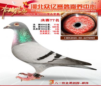 河北众亿寄养中心2026春季77名