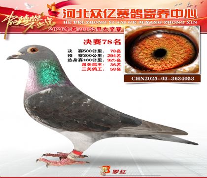 河北众亿寄养中心2026春季78名