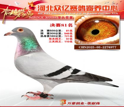 河北众亿寄养中心2026春季81名