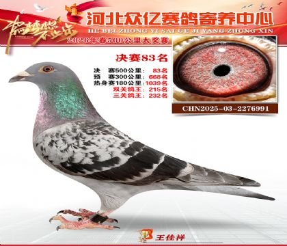 河北众亿寄养中心2026春季83名
