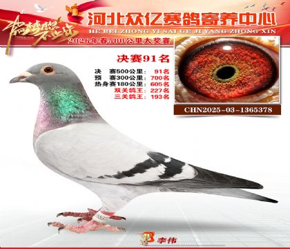 河北众亿寄养中心2026春季91名