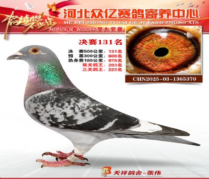河北众亿寄养中心2026春季131名